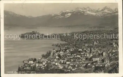 Horgen ZH Panorama Zuerichsee Alpen