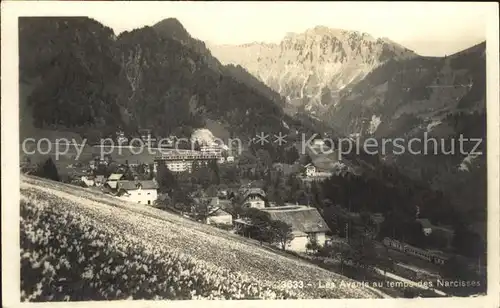 Les Avants au temps des Narcisses Fruehlingswiesen Narzissen Alpen Kat. Les Avants