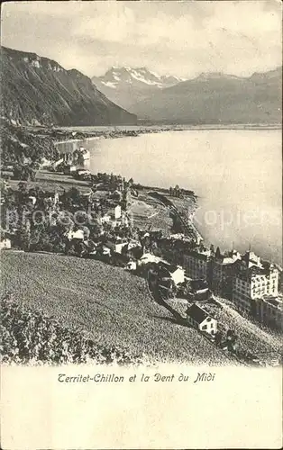 Territet Chillon Lac Leman Dents du Midi Genfersee Alpen Kat. Territet