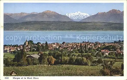 Morges Panorama Lac Leman et le Mont Blanc Genfersee Alpen Kat. Morges