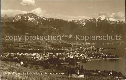 Vevey VD Panorama Lac Leman Dent de Jaman Rochers de Naye Genfersee Alpen Kat. Vevey