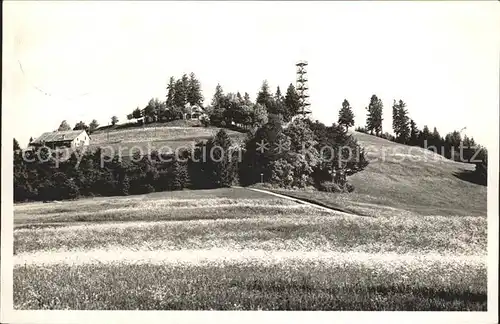 Bachtel Kulm Berggasthaus Rigi des Zuercher Oberlandes Kat. Bachtel