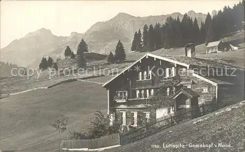 Luetispitz Gamskopf von Moos Berghaus Alpen Kat. Luetispitz