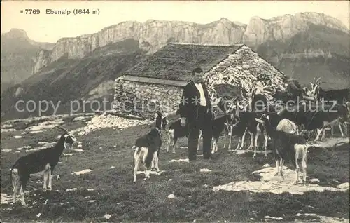 Ebenalp Bergbauer Ziegen Appenzeller Alpen Kat. Ebenalp