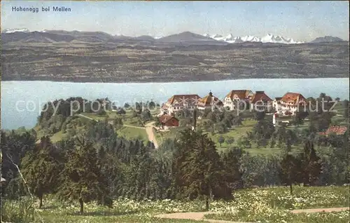 Meilen Nervenheilanstalt Hohenegg Zuerichsee Alpenblick Kat. Meilen