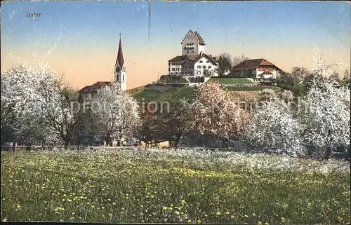 Uster ZH Schloss Kirche Baumbluete Kat. Uster