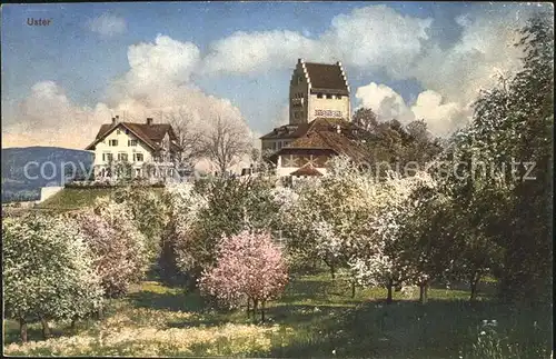 Uster ZH Schloss Baumbluete Kat. Uster