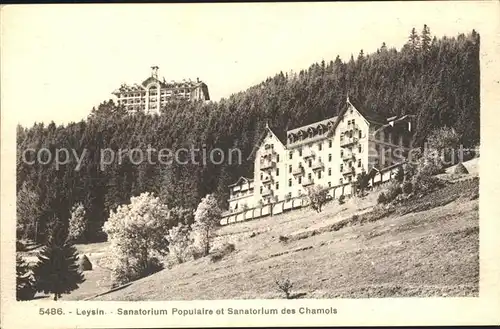 Leysin Sanatorium Populaire et Sanatorium des Chamois Kat. Leysin