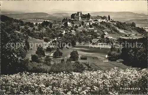 Regensberg Dielsdorf Panorama Schloss Bergwiese Kat. Regensberg