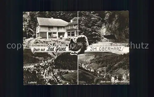 Bad Grund Iberger Kaffeehaus Tropfsteinhoehle Eichhoernchen Luftbild Kat. Bad Grund (Harz)