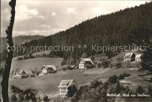 Mitteltal Schwarzwald mit Breitmiss Kat. Baiersbronn