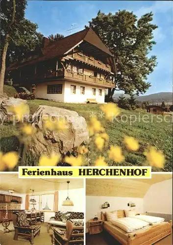 Hinterzarten Ferienhaus Herchenhof Schwarzwald Kat. Hinterzarten