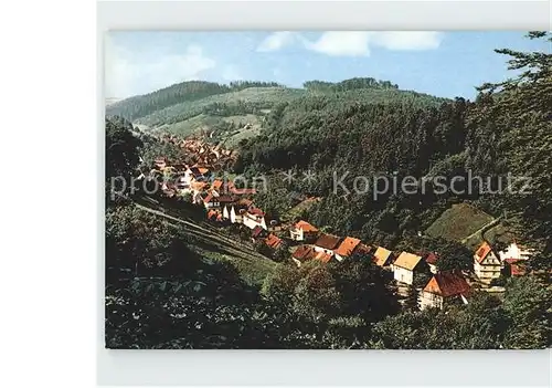 Bad Grund Blick vom Iberger Kaffeehaus Kat. Bad Grund (Harz)