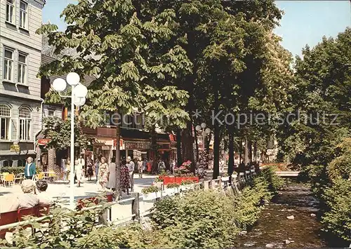 Bad Harzburg Partie an der Radau Kat. Bad Harzburg