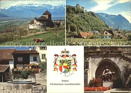 Vaduz Schloss Mittagspitze Kirchenpartie Brunnen Kat. Vaduz