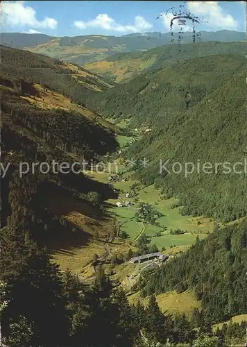 Feldberg Schwarzwald  Kat. Feldberg (Schwarzwald)