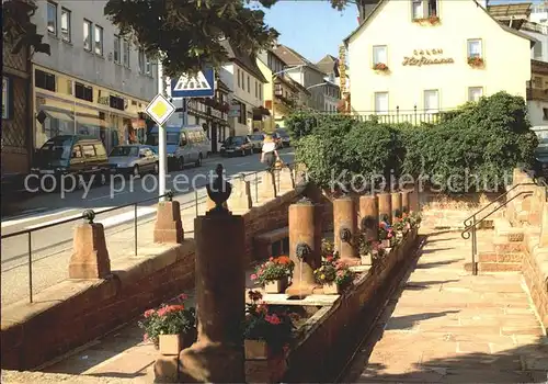 Beerfelden Odenwald Muemlingquelle Kat. Beerfelden