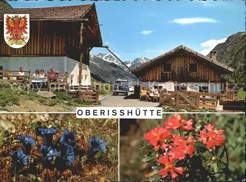 Neustift Stubaital Tirol Oberisshuette Enzian Alpenflora Kat. Neustift im Stubaital
