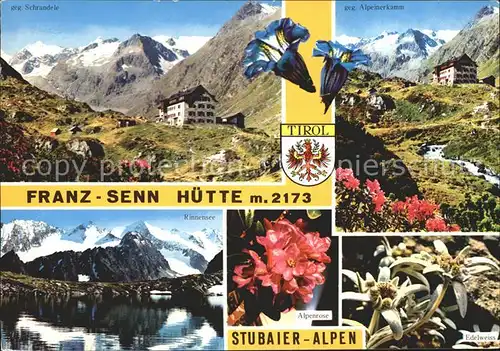 Franz Sennhuette Stubaier Alpen Bergsee Alpenrose Edelweiss Kat. Neustift im Stubaital