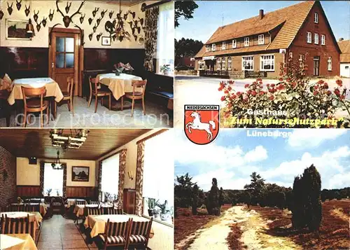 Bispingen Gasthaus Gasthaus zum Naturschutzpark  Kat. Bispingen Lueneburger Heide