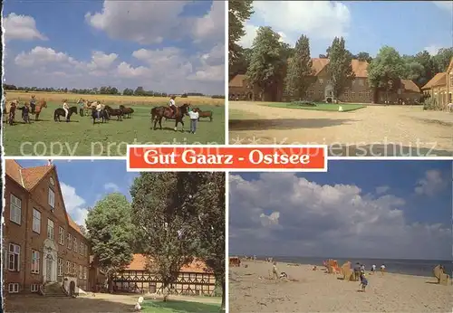 Oldenburg Holstein Gut Gaarz Pferde Strand Kat. Oldenburg in Holstein