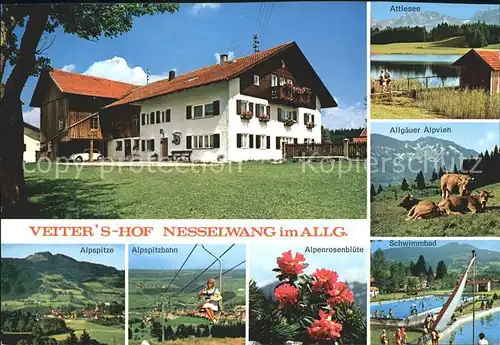 Nesselwang Veiters Hof Restaurant Attlesee Alpspitzbahn  Kat. Nesselwang