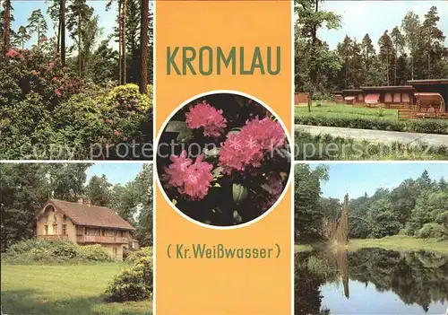 Kromlau Waldpartie Ferienhaeuser See Blumen Kat. Gablenz Oberlausitz