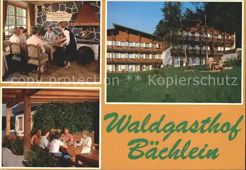 Baechlein Waldgasthof Kat. Mitwitz