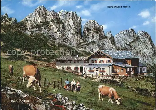 Aschau Chiemgau Steinlingalm Kuehe Kampenwand Chiemgauer Alpen Kat. Aschau i.Chiemgau