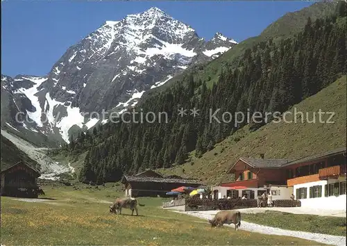 Pinnistal Alpengasthaus Pinnisalm Habicht Kat. Neustift im Stubaital