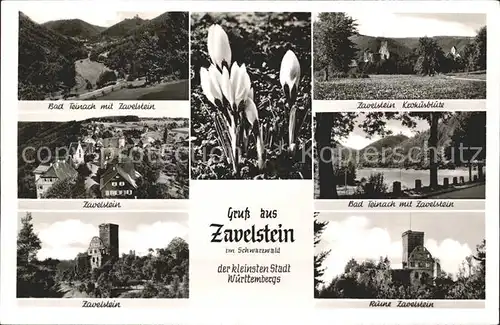 Zavelstein Bad Teinach Ruine Kat. Bad Teinach Zavelstein