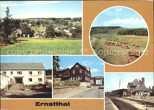 Ernstthal Haflinger Ferienheim Heinrich Rau Restaurant Rennsteig Bahnhof Kat. Lauscha Rennsteig