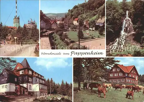 Pappenheim Thueringen Grosser Inselsberg Spiessberghaus Hotel Ebertswiese Trusetaler Wasserfall Kat. Floh Seligenthal