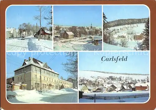 Carlsfeld Erzgebirge Hauptstrasse Gasthaus zum Gruenen Baum Kat. Eibenstock