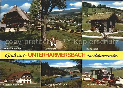 Unterharmersbach Kurpark Heimatmuseum Dampflok Fuerstenberger Hof Kat. Zell am Harmersbach