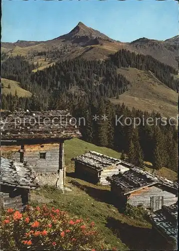 Brixen Thale Alpenmotiv Almhuetten im Brixental gegen Brechhorn Kat. Brixen im Thale