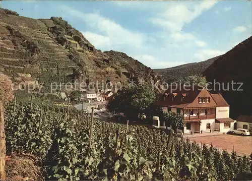 Walporzheim Bauernschenke Weinberge Kat. Bad Neuenahr Ahrweiler