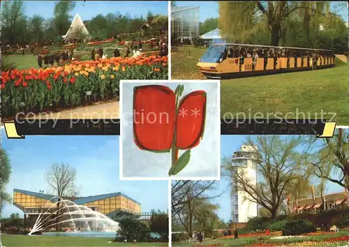 Essen Ruhr 50 Jahre Grugapark Tulpen Grugahalle Parkbahn Kat. Essen