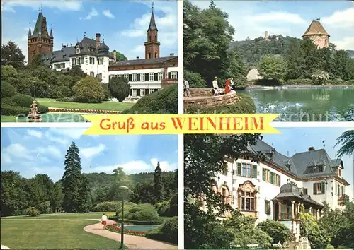 Weinheim Bergstrasse Schlosspark Kat. Weinheim