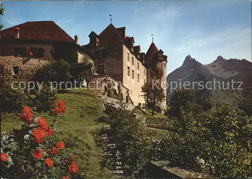 Gruyeres FR Chateau Dents de Broc Chamois Kat. Gruyeres