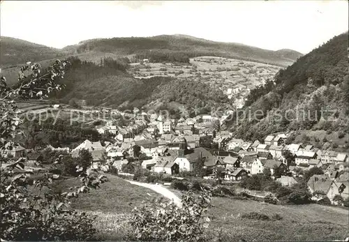 Pappenheim Thueringen Blick vom Roeder Kat. Floh Seligenthal