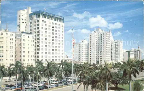 Miami Florida Palm lined Biscayne Boulevard Kat. Miami