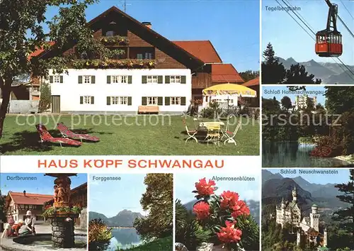 Schwangau Haus Koepf Forggensee Alpenrosenblueten Kat. Schwangau