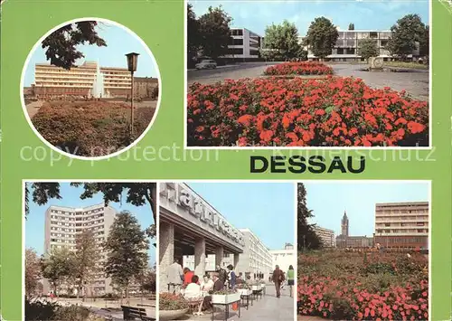 Dessau Rosslau Bauhaus Hochhaus Rathaus Kat. Dessau Rosslau