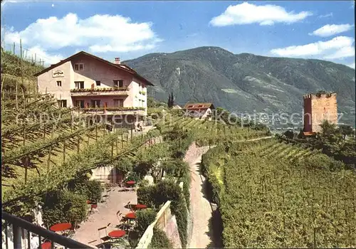 Merano Suedtirol Gaestehaus im Weinberg Tappeinerweg Kat. Merano