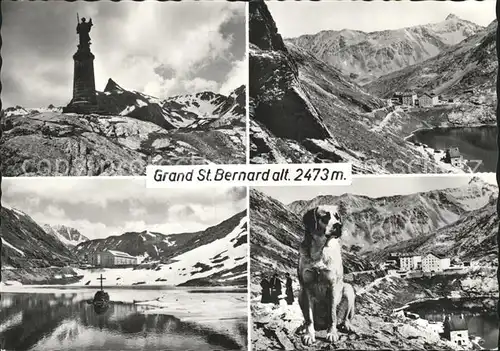 Grand St Bernard Hund Denkmal Hospiz Kat. Bernard Grand Saint