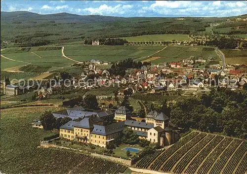 Johannisberg Rheingau Fliegeraufnahme Weingut Schloss Johannisberg Kat. Geisenheim