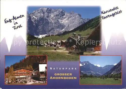 Achenkirch Karwendel Eng Almen Naturpark Grosser Anhornboden Kat. Achenkirch am Achensee