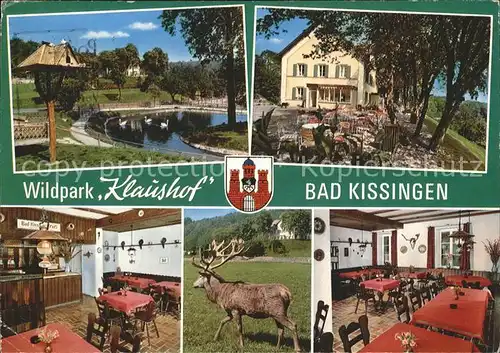 Bad Kissingen Wildpark Klaushof Hirsch Kat. Bad Kissingen