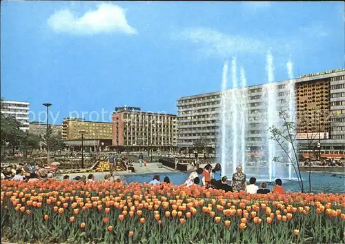 Karl Marx Stadt Karl Marx Platz Strasse der Nationen Springbrunnen Tulpen Kat. Chemnitz